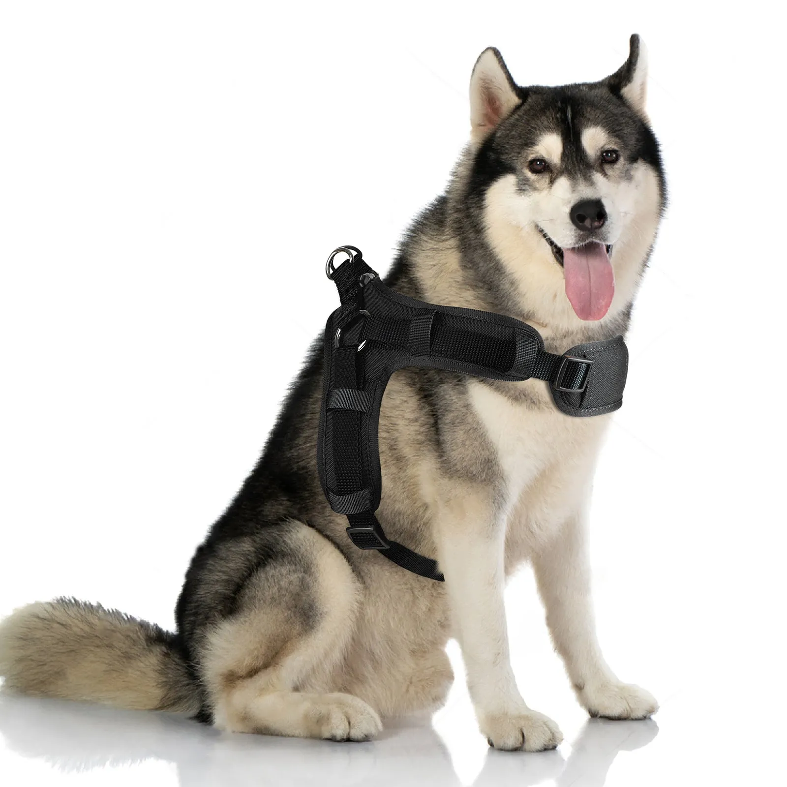 MASBRILL No Pull Dog Harness, Mesh Breathable Padded Dog Vest Harness Step-in No Choke Adjustable Dog Harness for Small Medium Large Dogs - Blue S