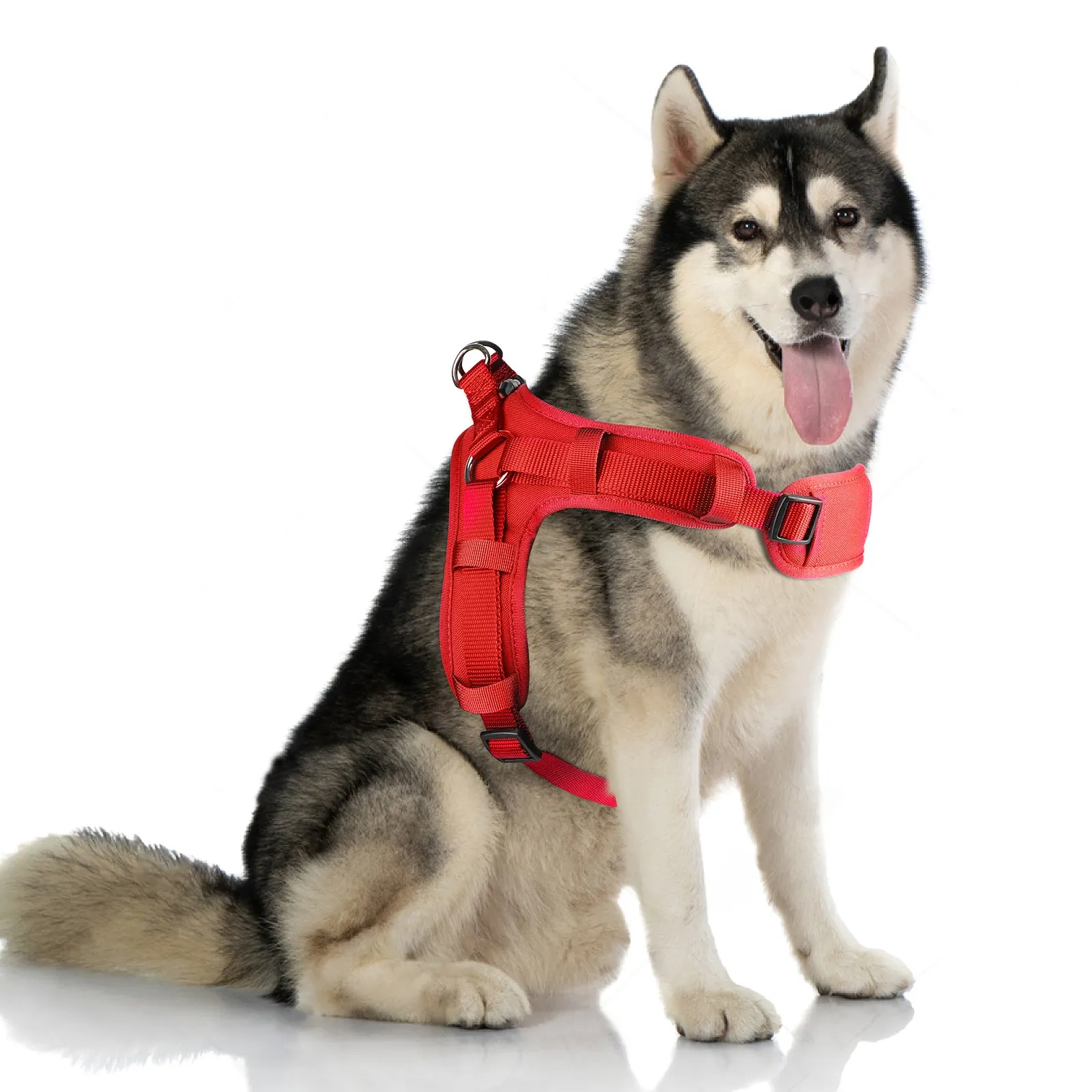 MASBRILL No Pull Dog Harness, Mesh Breathable Padded Dog Vest Harness Step-in No Choke Adjustable Dog Harness for Small Medium Large Dogs - Blue S