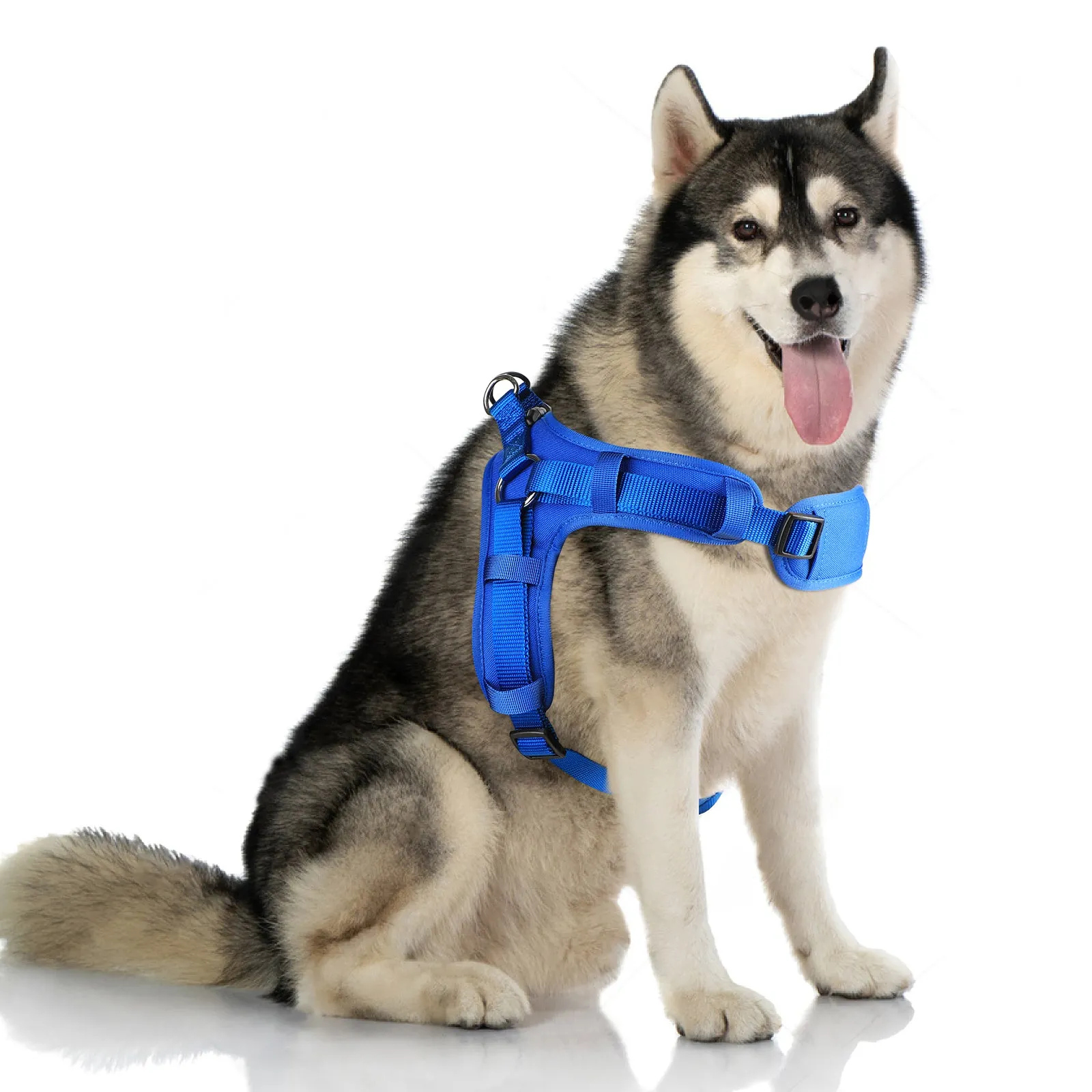 MASBRILL No Pull Dog Harness, Mesh Breathable Padded Dog Vest Harness Step-in No Choke Adjustable Dog Harness for Small Medium Large Dogs - Blue S