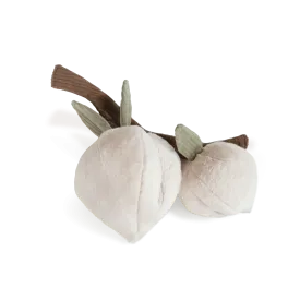 momo enrichment toy