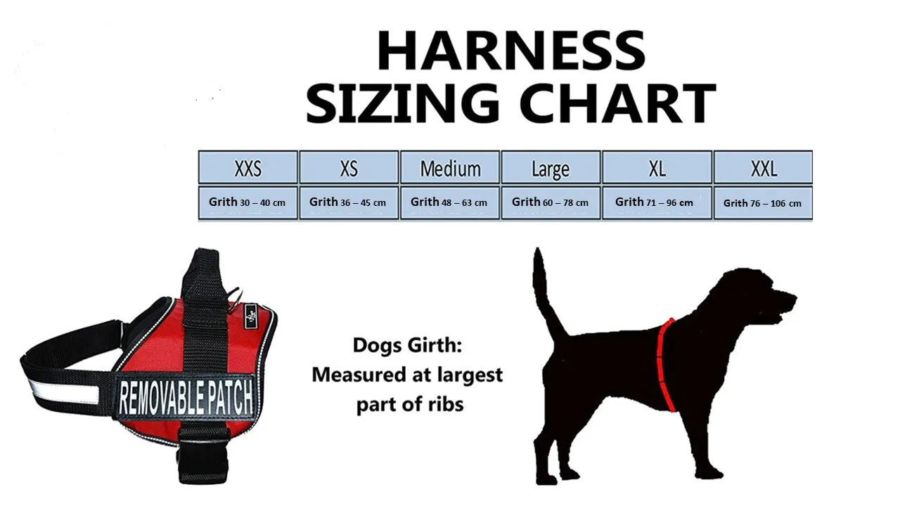 Nakura - Therapy Dog Harness With Removable Patches - Neon Green - Large