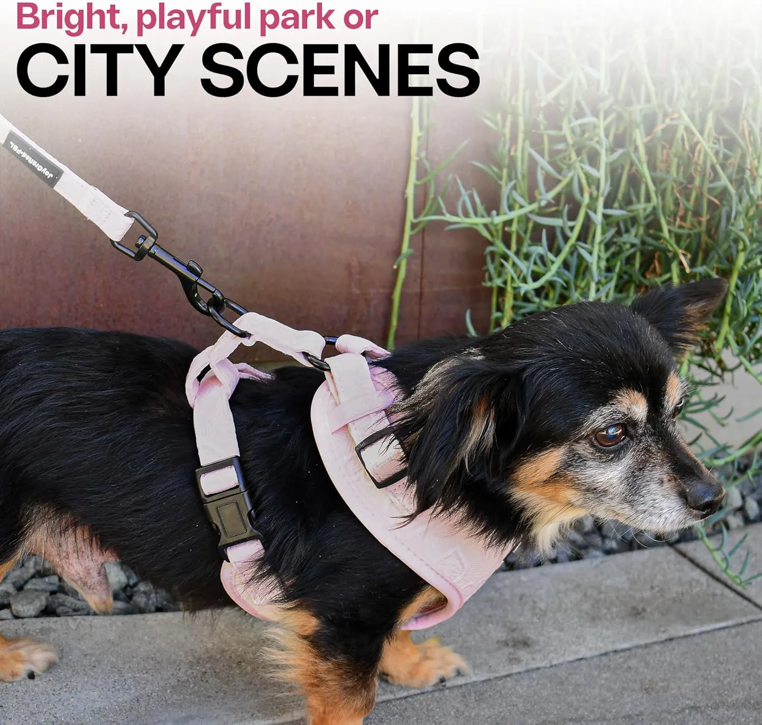 No Pull Puppy Harness and Leash Set  No Choke Neoprene Dog Harness for Medium Dogs (2540lbs), Pink - M, Lightweight Breathable Mesh with Unique Heart Pattern, Adjustable Fit