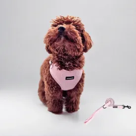 No Pull Puppy Harness and Leash Set  No Choke Neoprene Dog Harness for Medium Dogs (2540lbs), Pink - M, Lightweight Breathable Mesh with Unique Heart Pattern, Adjustable Fit