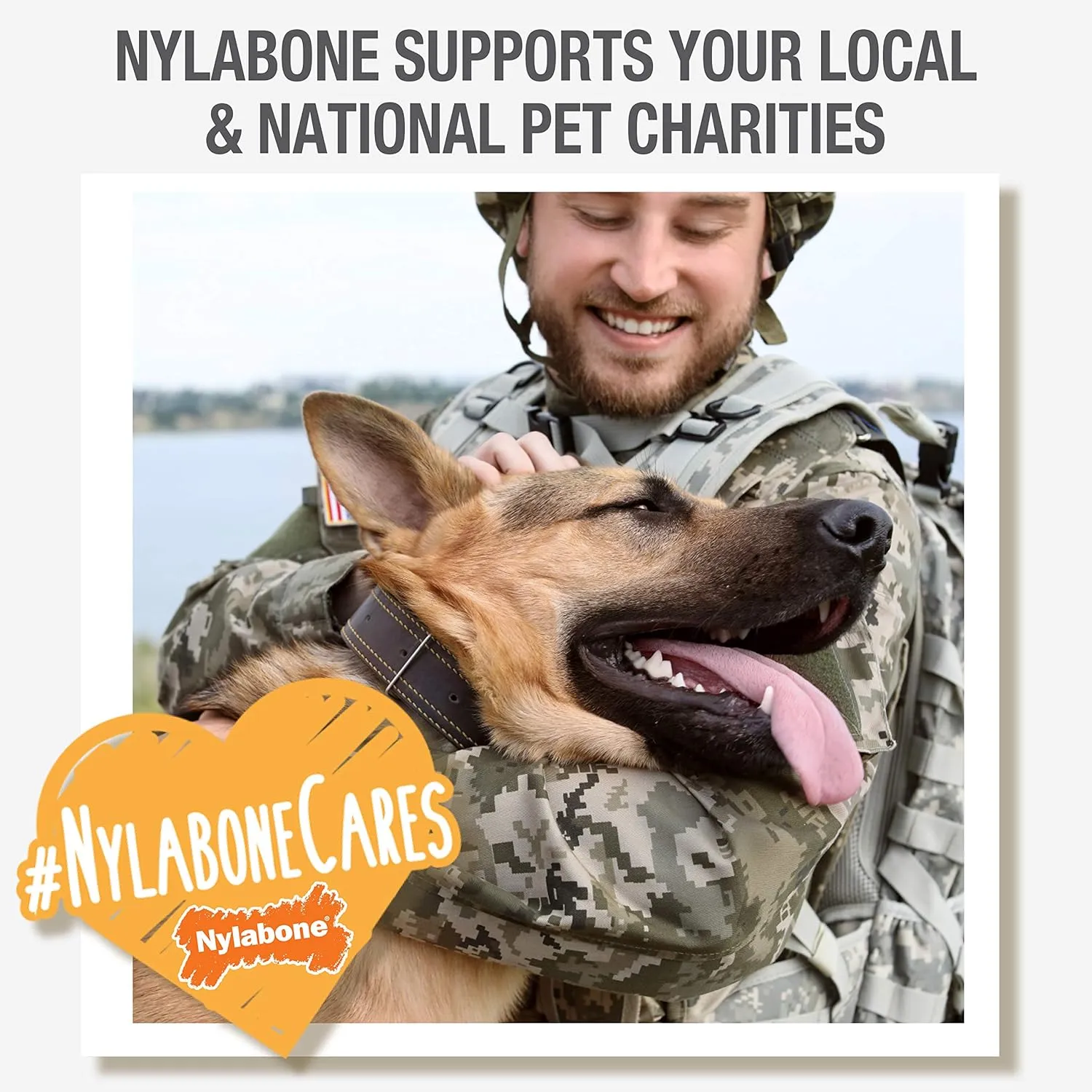 Nylabone Original Wishbone Power Chew Toy for Dogs, Dog Toys for Aggressive Chewers, Original Flavor, Medium - Up to 35 lbs, 1 Count