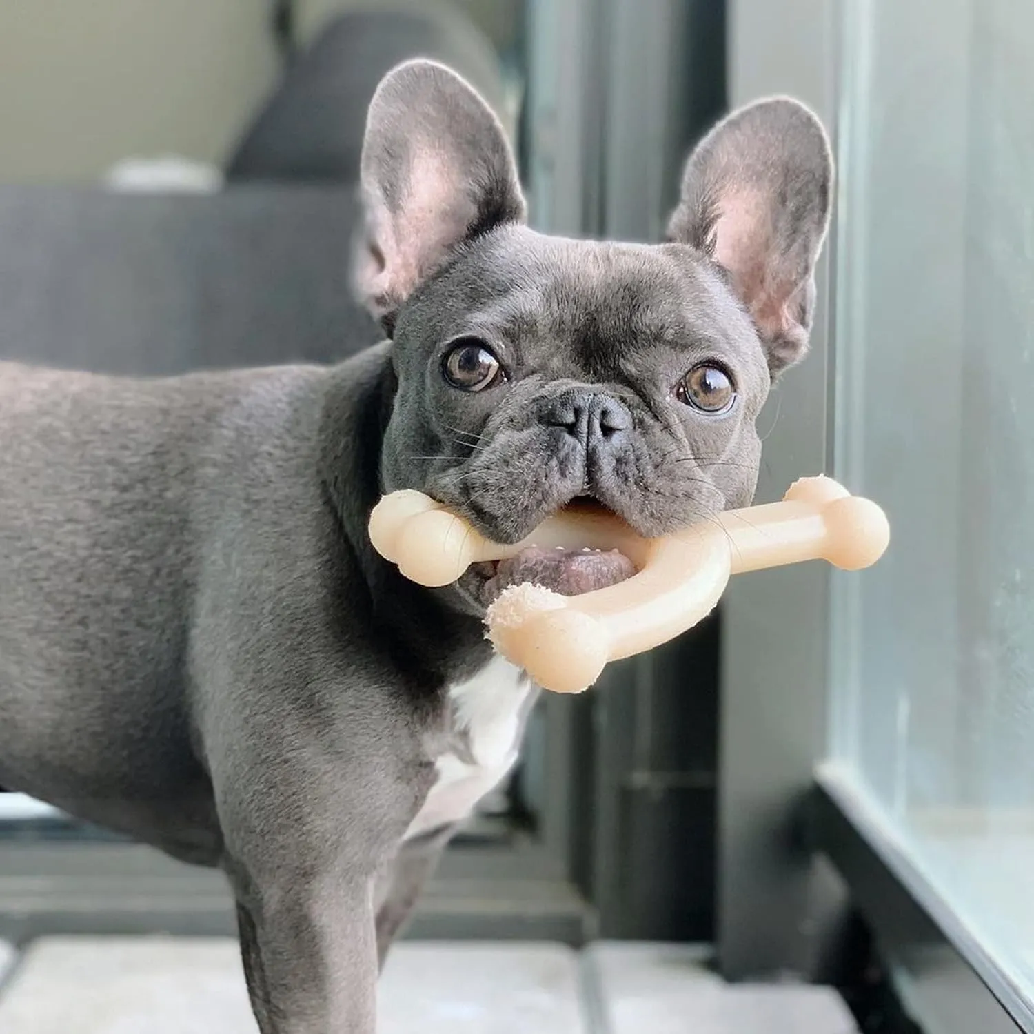 Nylabone Original Wishbone Power Chew Toy for Dogs, Dog Toys for Aggressive Chewers, Original Flavor, Medium - Up to 35 lbs, 1 Count