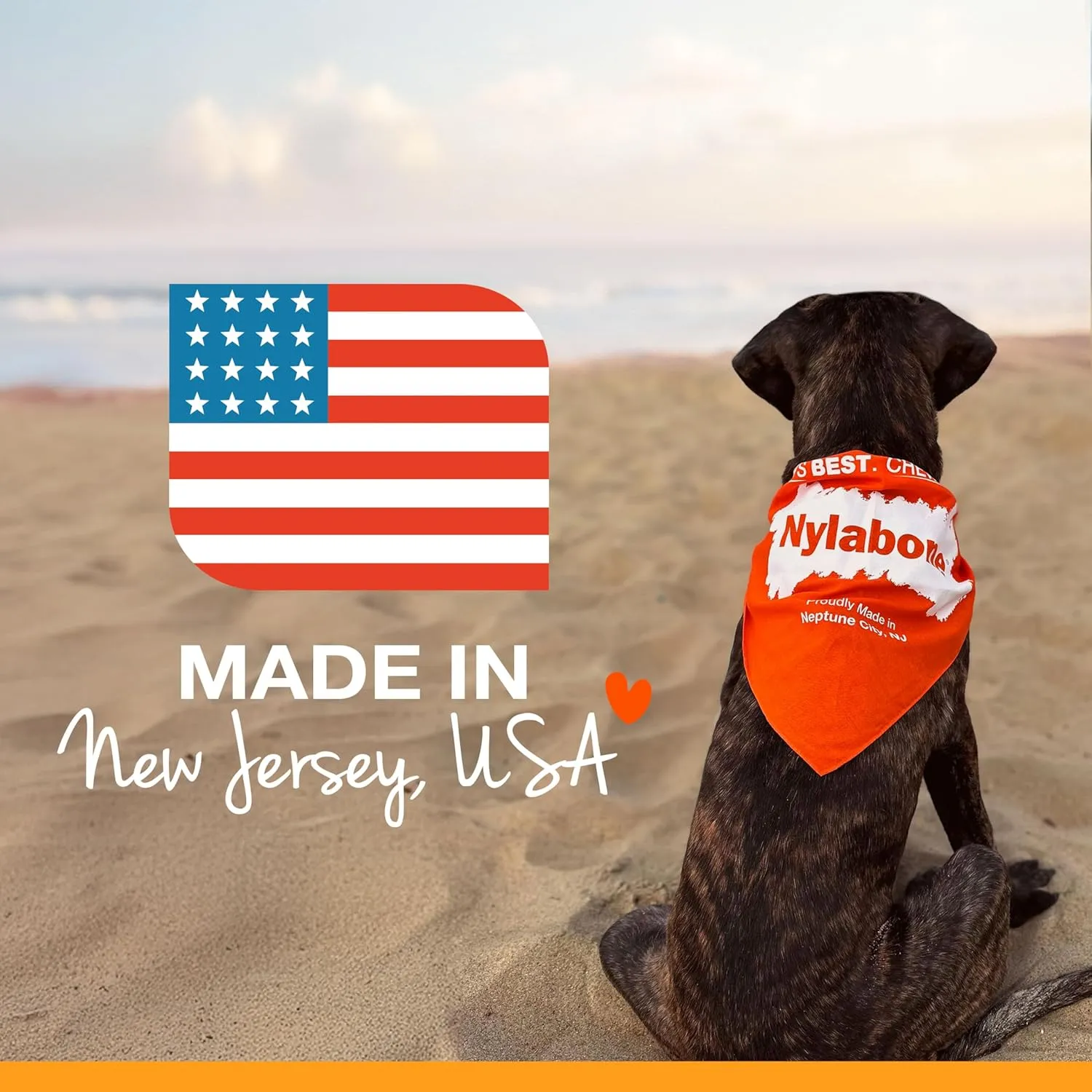 Nylabone Original Wishbone Power Chew Toy for Dogs, Dog Toys for Aggressive Chewers, Original Flavor, Medium - Up to 35 lbs, 1 Count