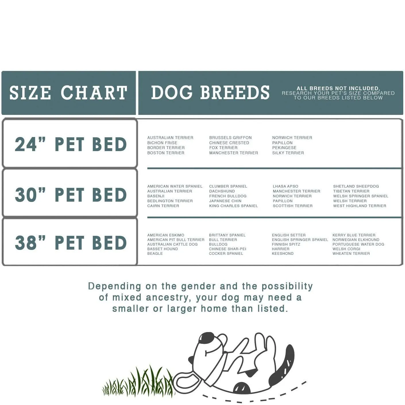 Paws & Pals Bed for Pets