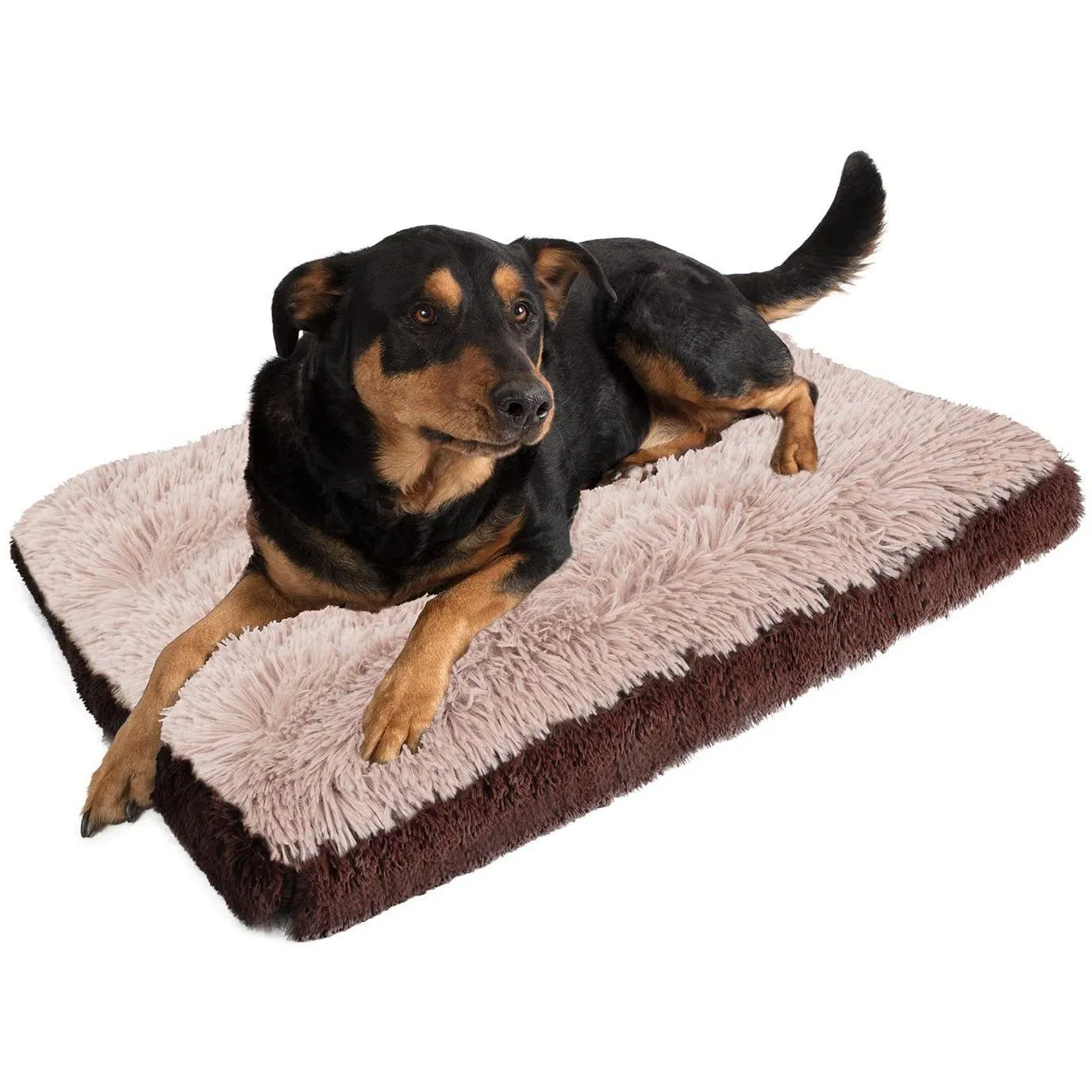 Paws & Pals Bed for Pets