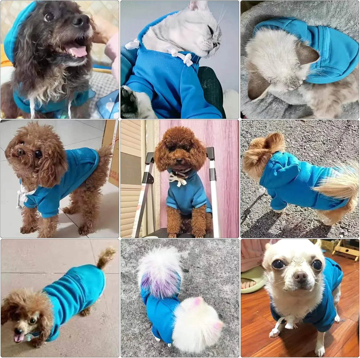 PETCARE Small Dog Sweater Hoodies Pet Blue Hooded Soft Fleece Sweatshirts with Pocket Fall Winter Puppy Cat Sweaters Warm Clothes for Small Dogs Shih Tzu Yorkies French Bulldog Outfits Costume