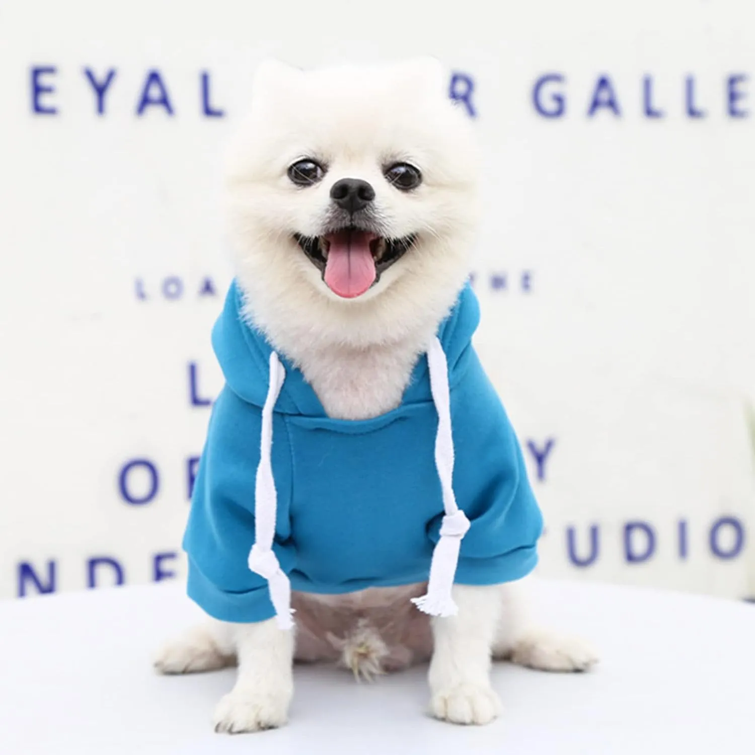 PETCARE Small Dog Sweater Hoodies Pet Blue Hooded Soft Fleece Sweatshirts with Pocket Fall Winter Puppy Cat Sweaters Warm Clothes for Small Dogs Shih Tzu Yorkies French Bulldog Outfits Costume