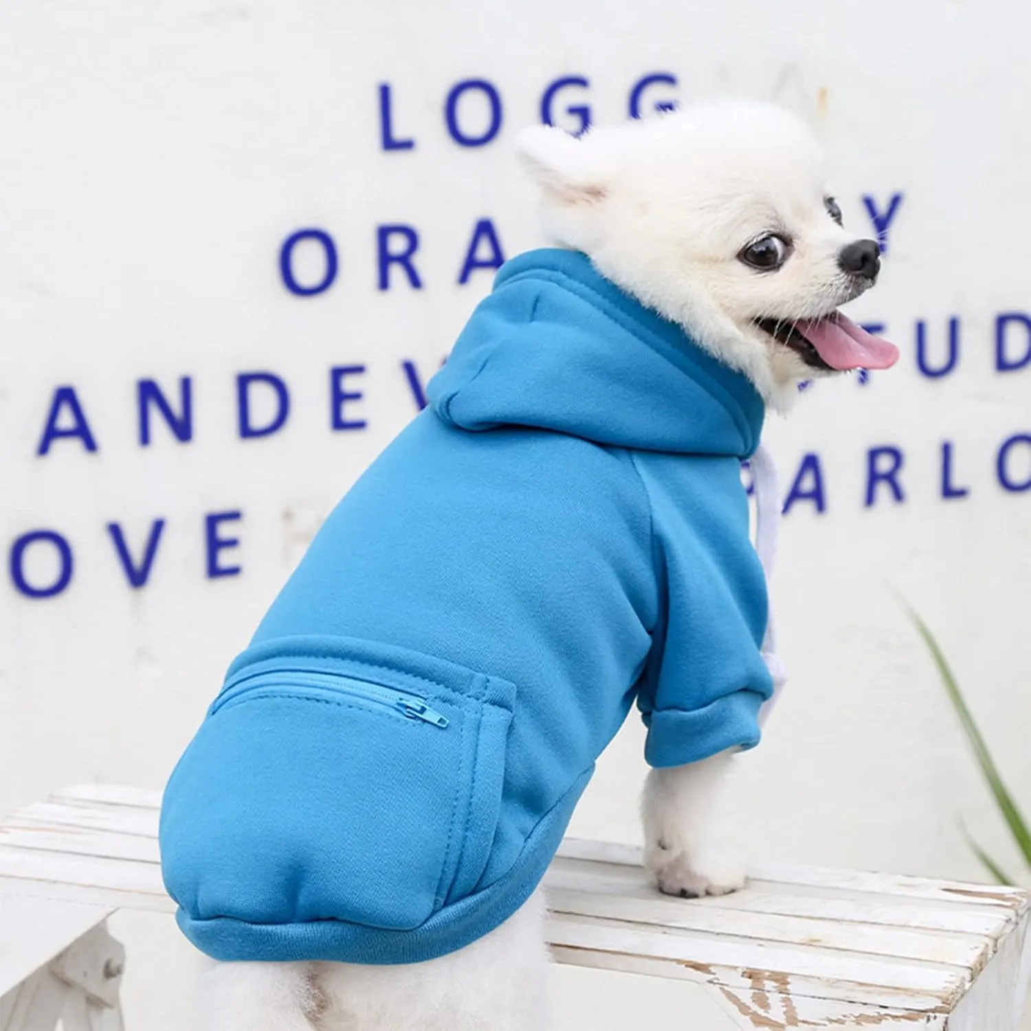 PETCARE Small Dog Sweater Hoodies Pet Blue Hooded Soft Fleece Sweatshirts with Pocket Fall Winter Puppy Cat Sweaters Warm Clothes for Small Dogs Shih Tzu Yorkies French Bulldog Outfits Costume