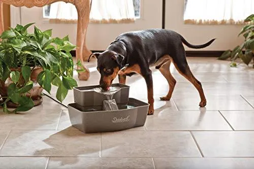 PetSafe Drinkwell Multi-Tier Dog and Cat Water Fountain, Automatic Drinking Fountain for Pets, 100 oz. Water Capacity