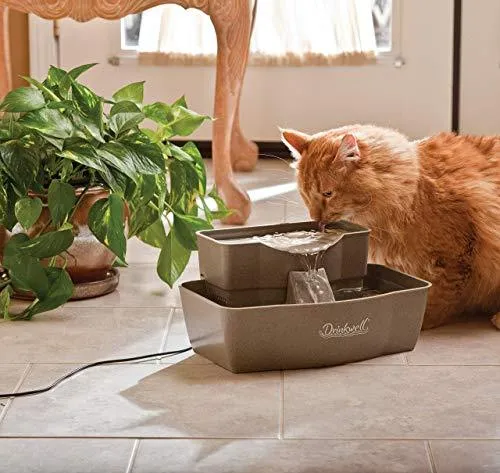 PetSafe Drinkwell Multi-Tier Dog and Cat Water Fountain, Automatic Drinking Fountain for Pets, 100 oz. Water Capacity