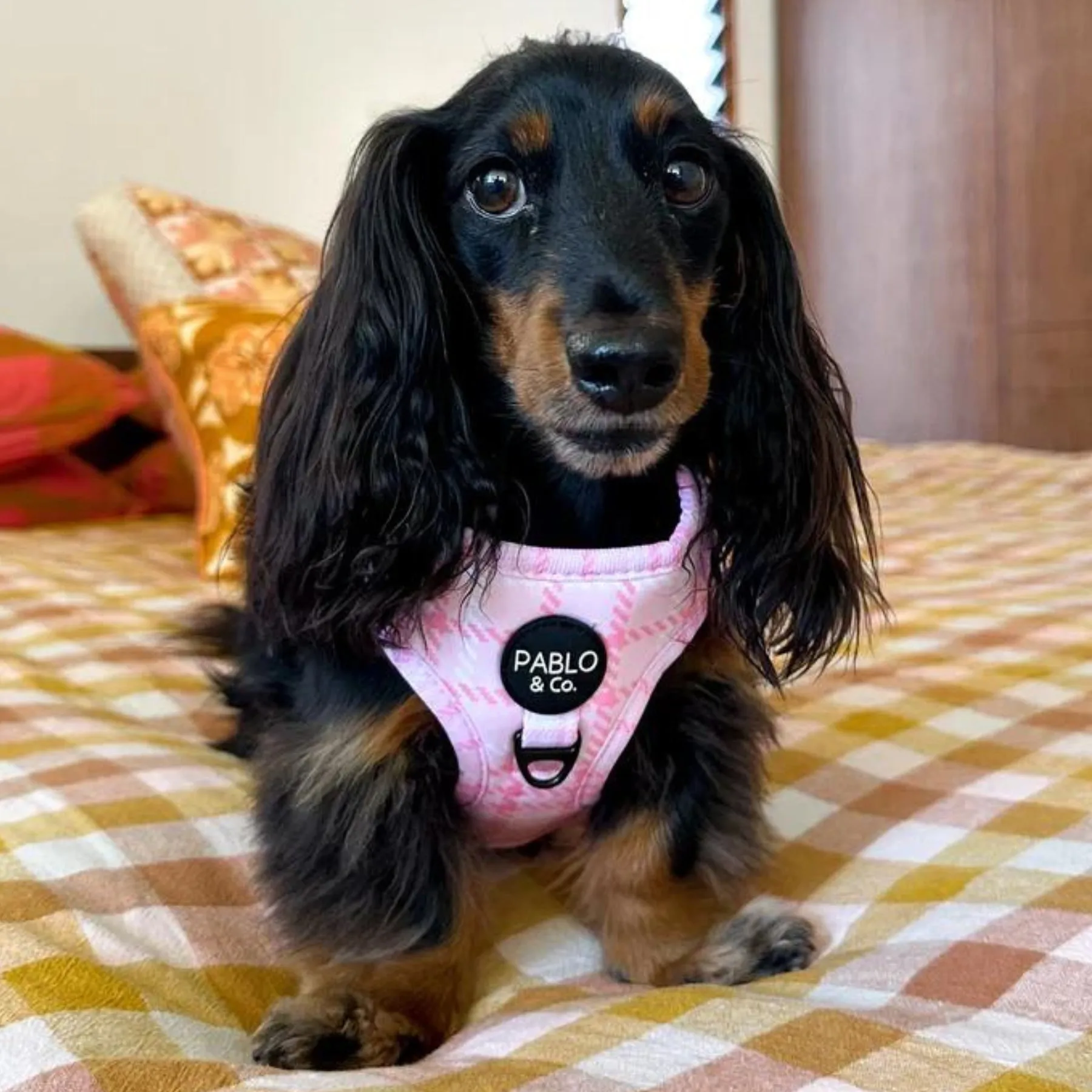 Pink Houndstooth Adjustable Harness