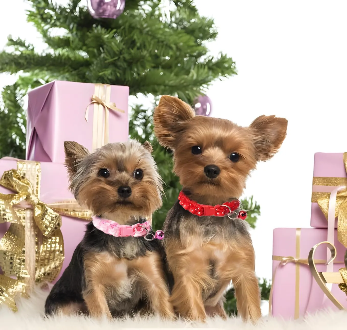 Pink Puppy Collar with Bell, XS Cat Collars Girl Cute Lace Adjustable Buckle for XXS XSmall Extra Small Dogs Puppies Female Tiny Pets Male Boy Kitten Yorkie Chihuahua Teacup X-Small