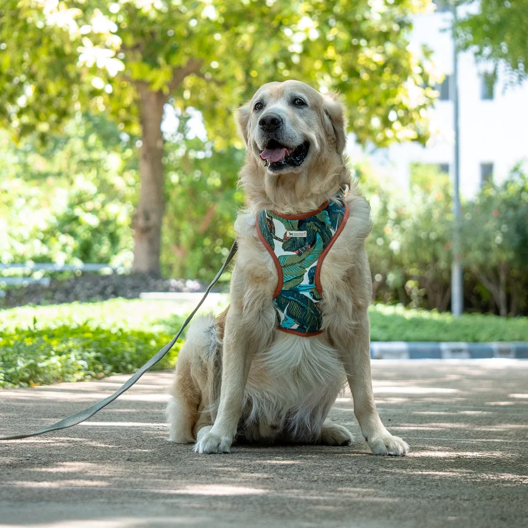 PoochMate X House of Ekam Palm Dog Harness Only