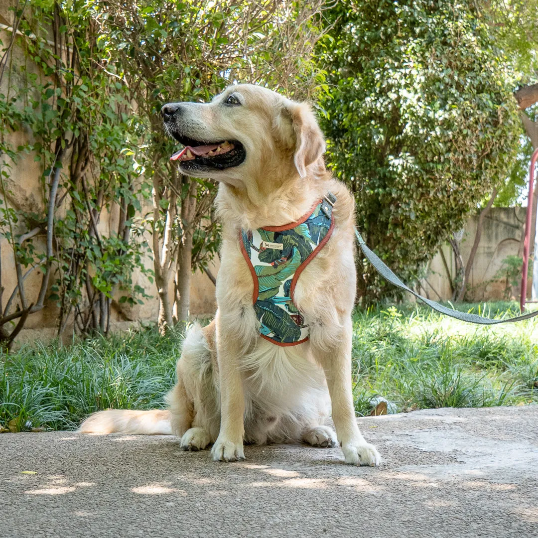 PoochMate X House of Ekam Palm Dog Harness Only
