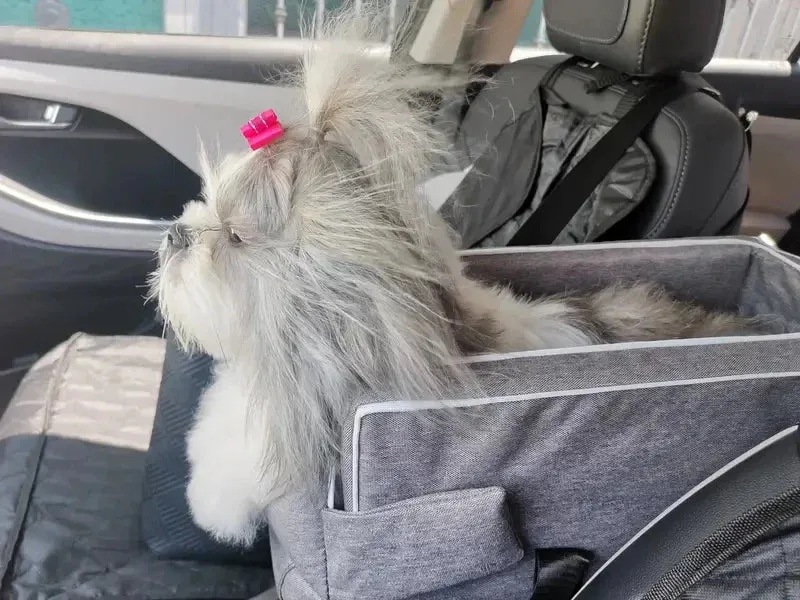 Portable Pet Safety Seat for Cars - Ideal for Small Dogs and Cats