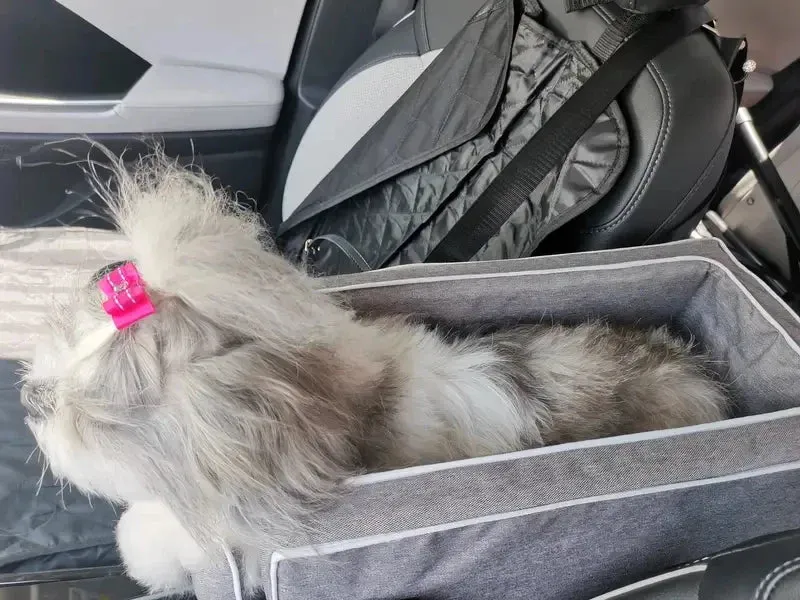 Portable Pet Safety Seat for Cars - Ideal for Small Dogs and Cats