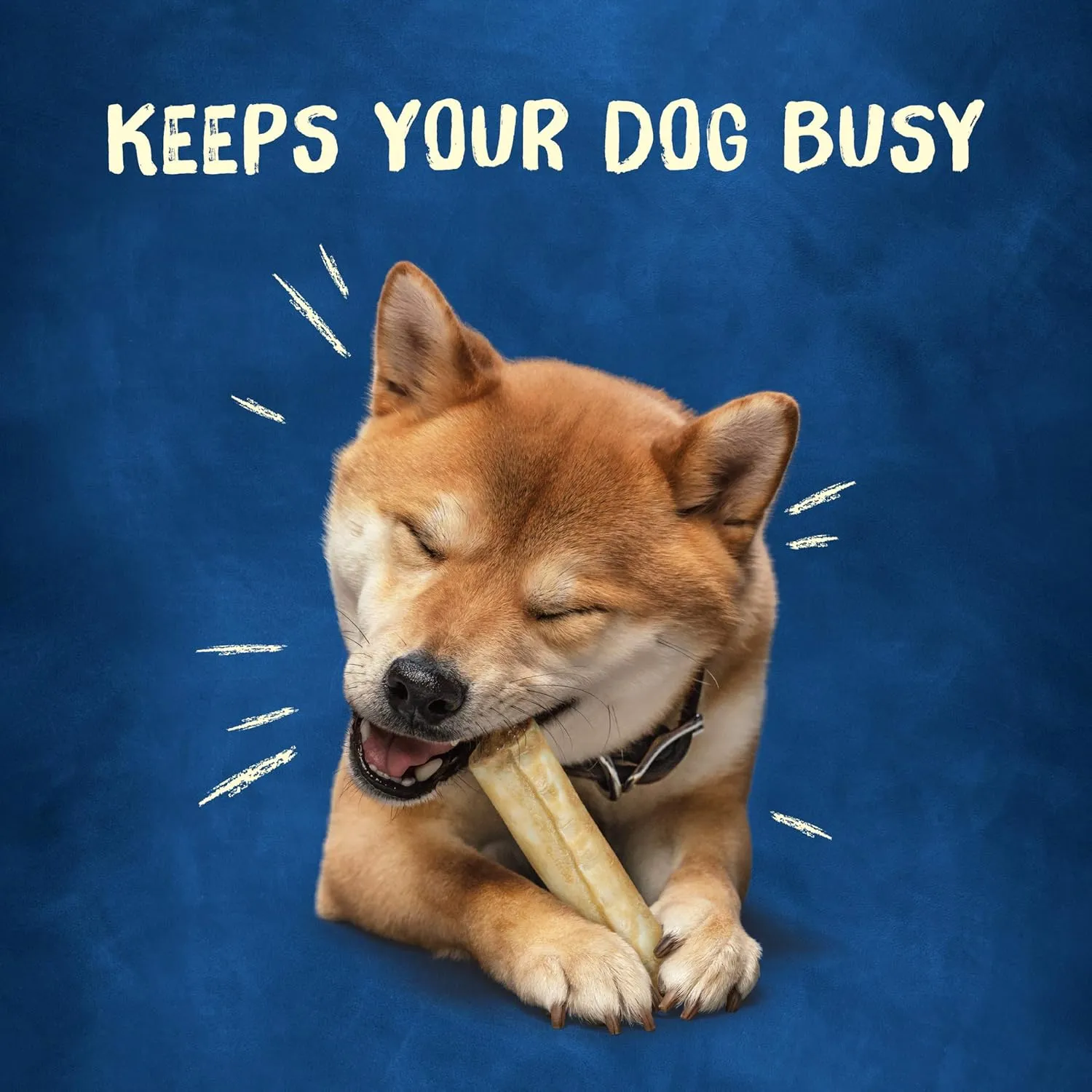 Purina Busy Rawhide Small/Medium Breed Dog Bones, Rollhide - 9 ct. Pouch