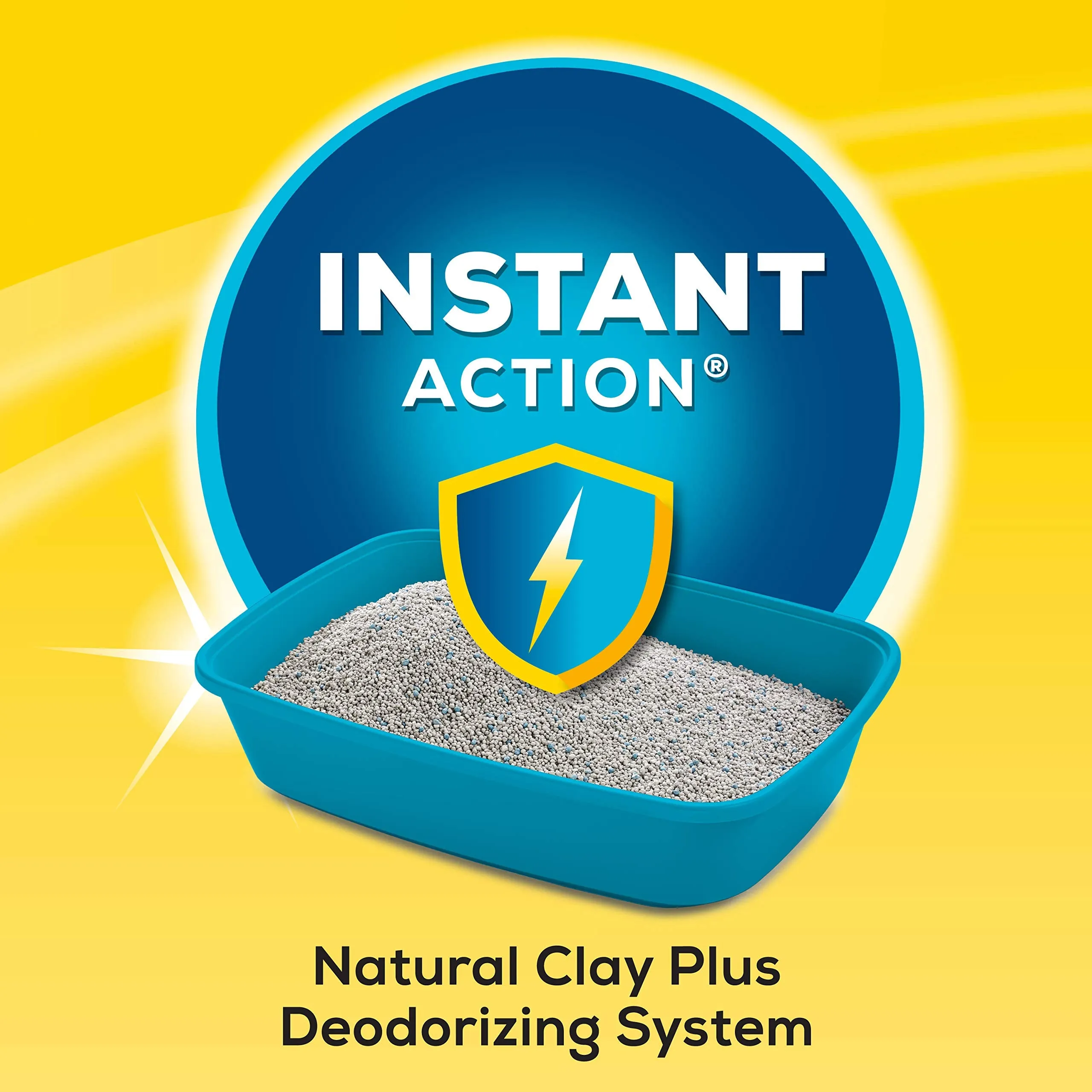 Purina Tidy Cats Instant Action Low-Dust Non-Clumping Odor Control Clay Multi-Cat Litter - 20 Lbs