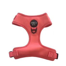 Raspberry Adjustable Dog Harness