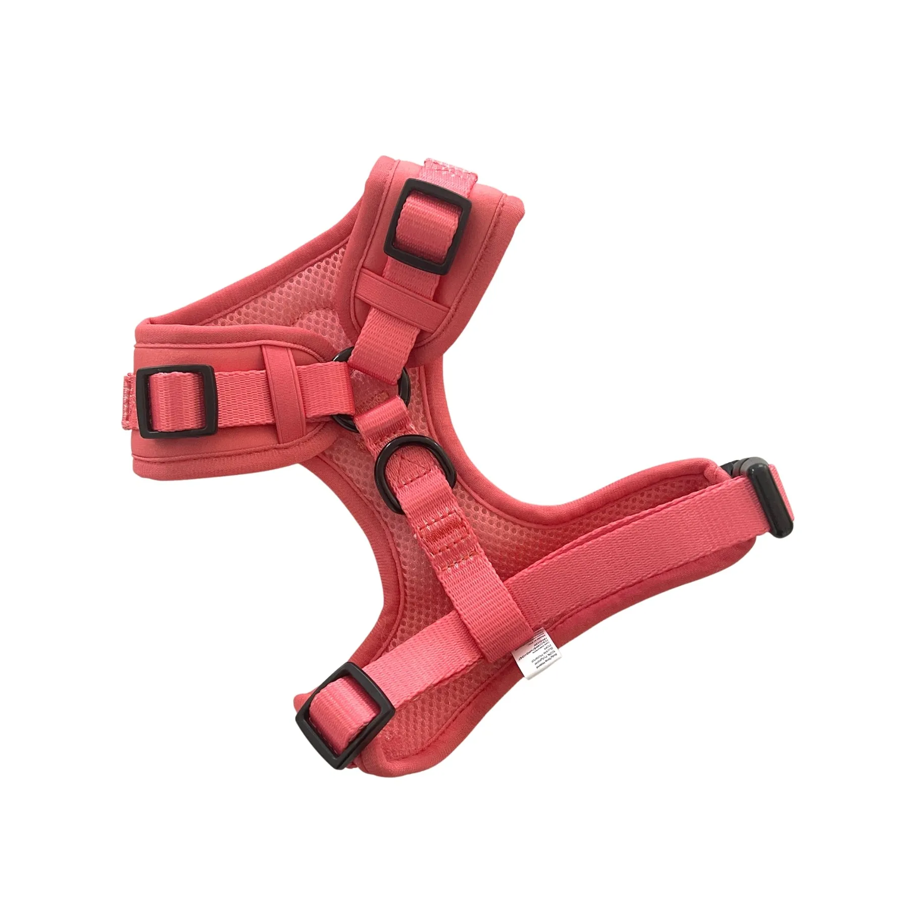 Raspberry Adjustable Dog Harness