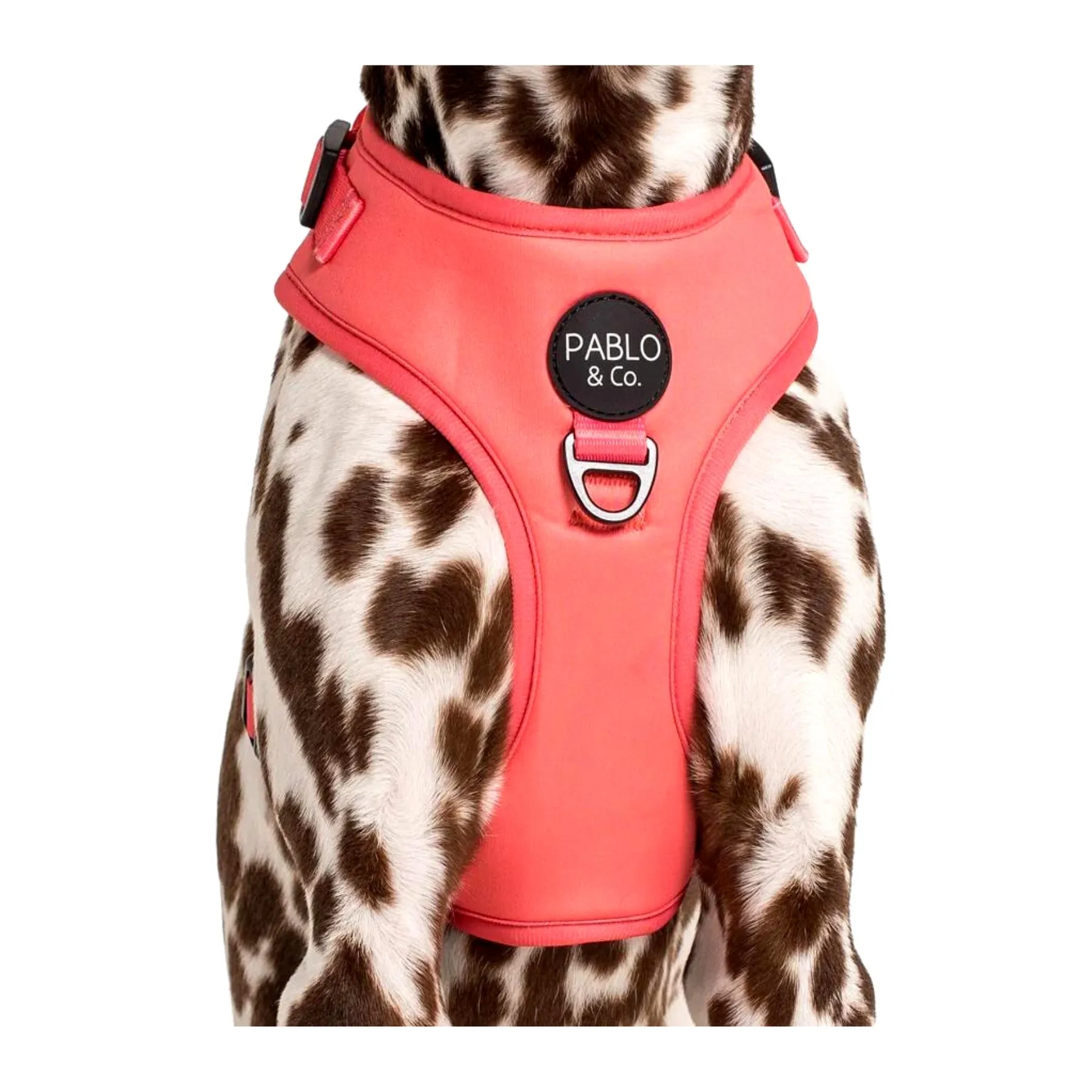 Raspberry Adjustable Dog Harness