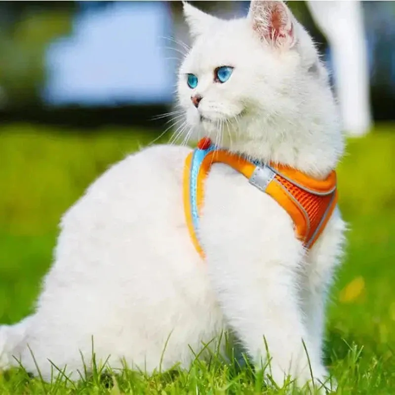 Reflective Adjustable Pet Harness for Safe, Comfortable Walks