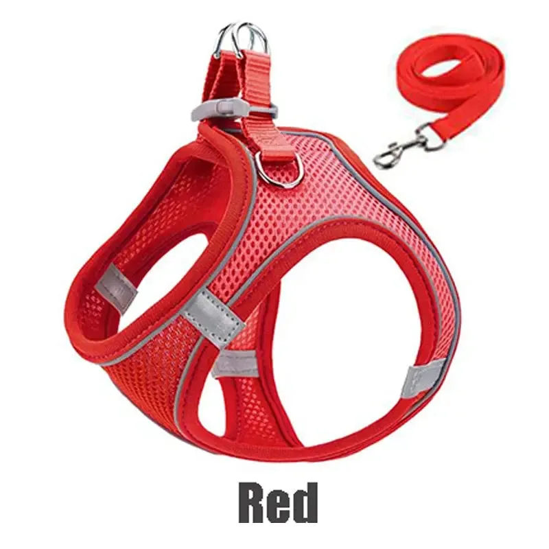 Reflective Adjustable Pet Harness for Safe, Comfortable Walks