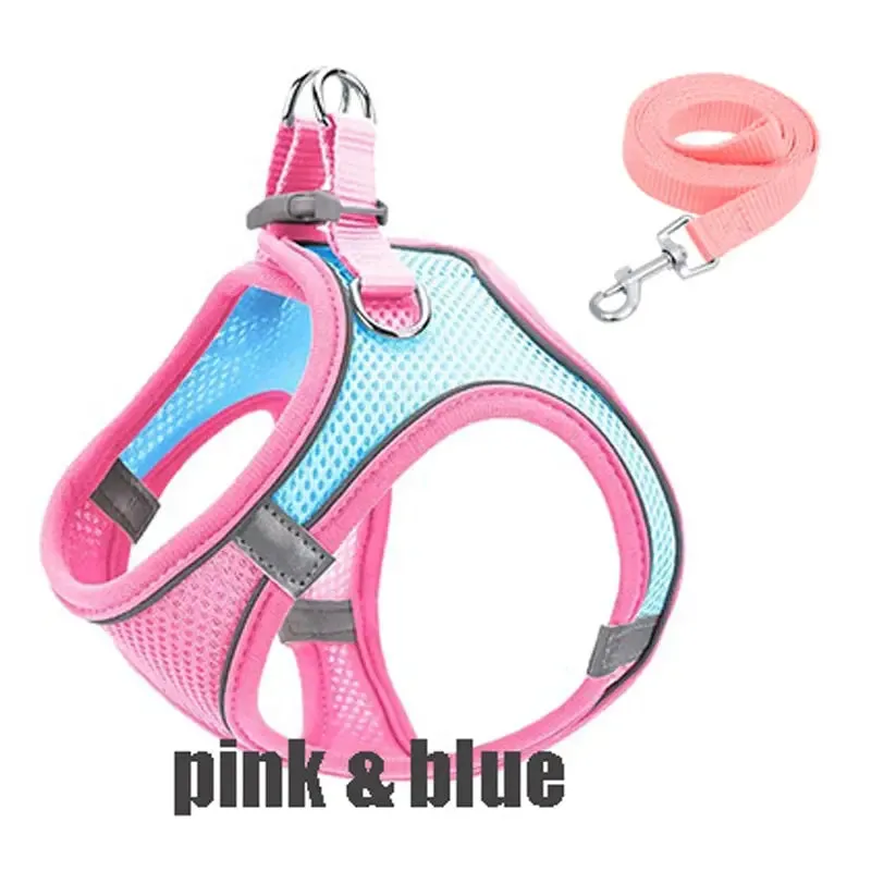 Reflective Adjustable Pet Harness for Safe, Comfortable Walks