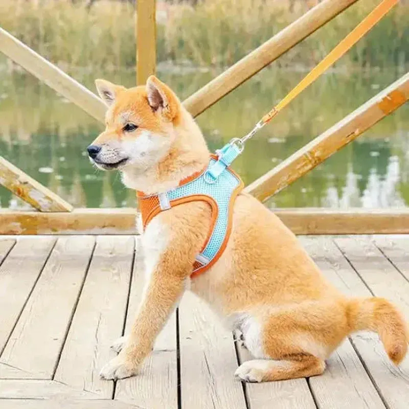 Reflective Adjustable Pet Harness for Safe, Comfortable Walks