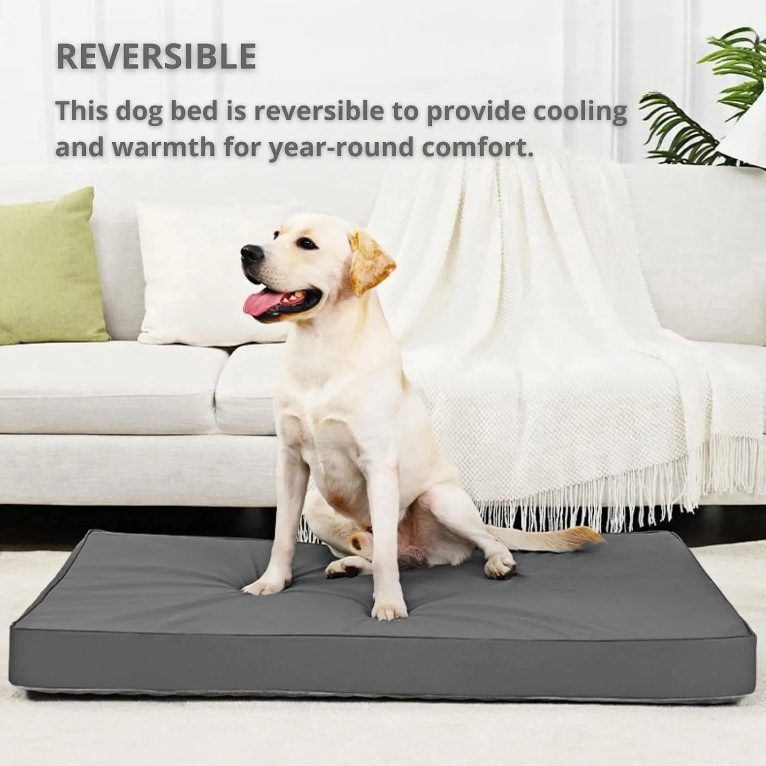 Reversible Dog Bed for Large Medium Dogs,Orthopedic Dog Crate Bed.Washable Plush Pet Bed with Removable Cover(35.0" L x 22.0" W x 3.0" Th)