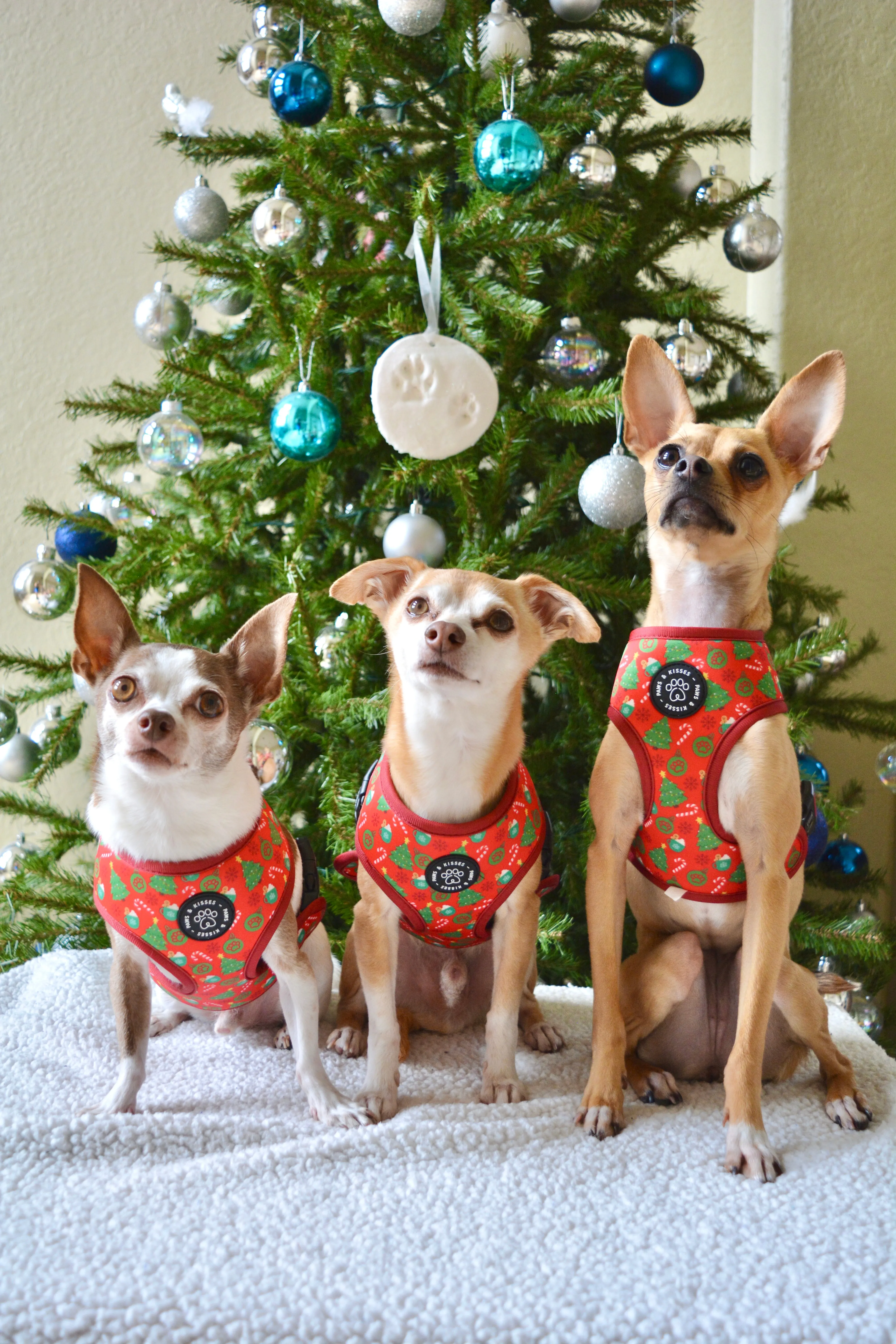Reversible Harness - Fall Leaves to Christmas Trees