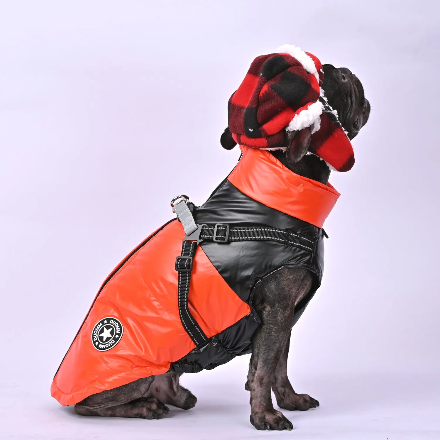 Snowy Snuggles Frenchie Warm Reflective Winter Jacket V1