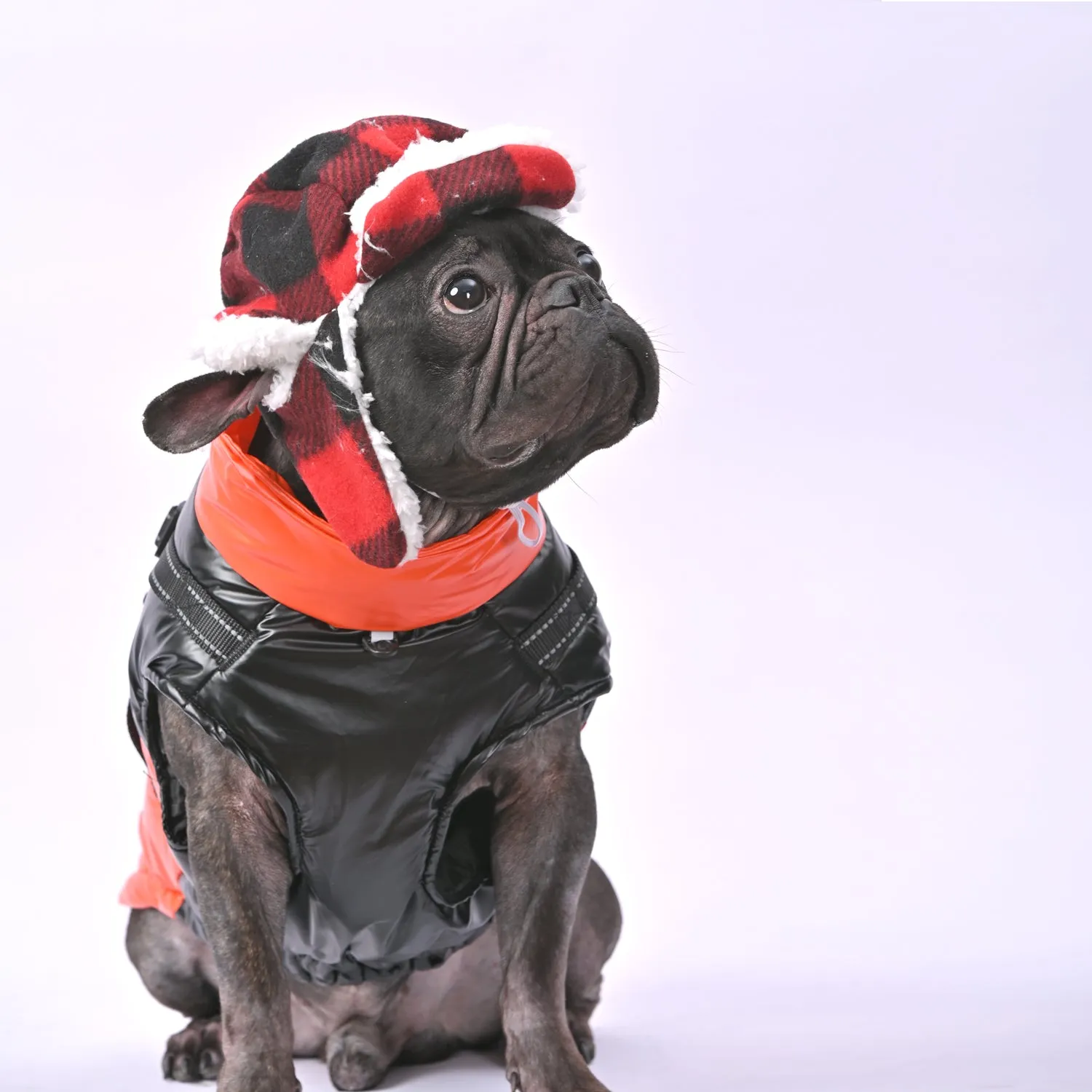 Snowy Snuggles Frenchie Warm Reflective Winter Jacket V1