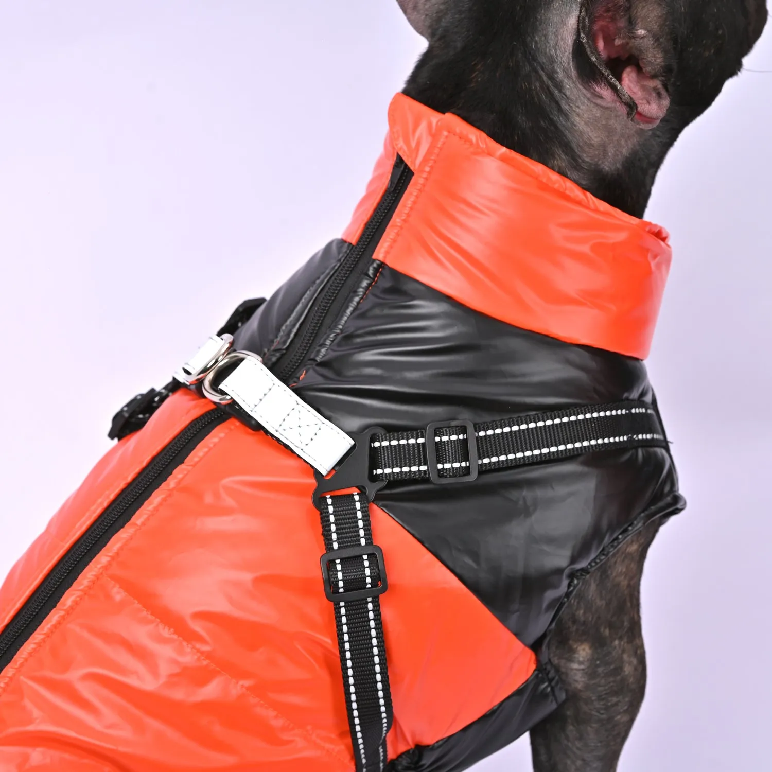 Snowy Snuggles Frenchie Warm Reflective Winter Jacket V1