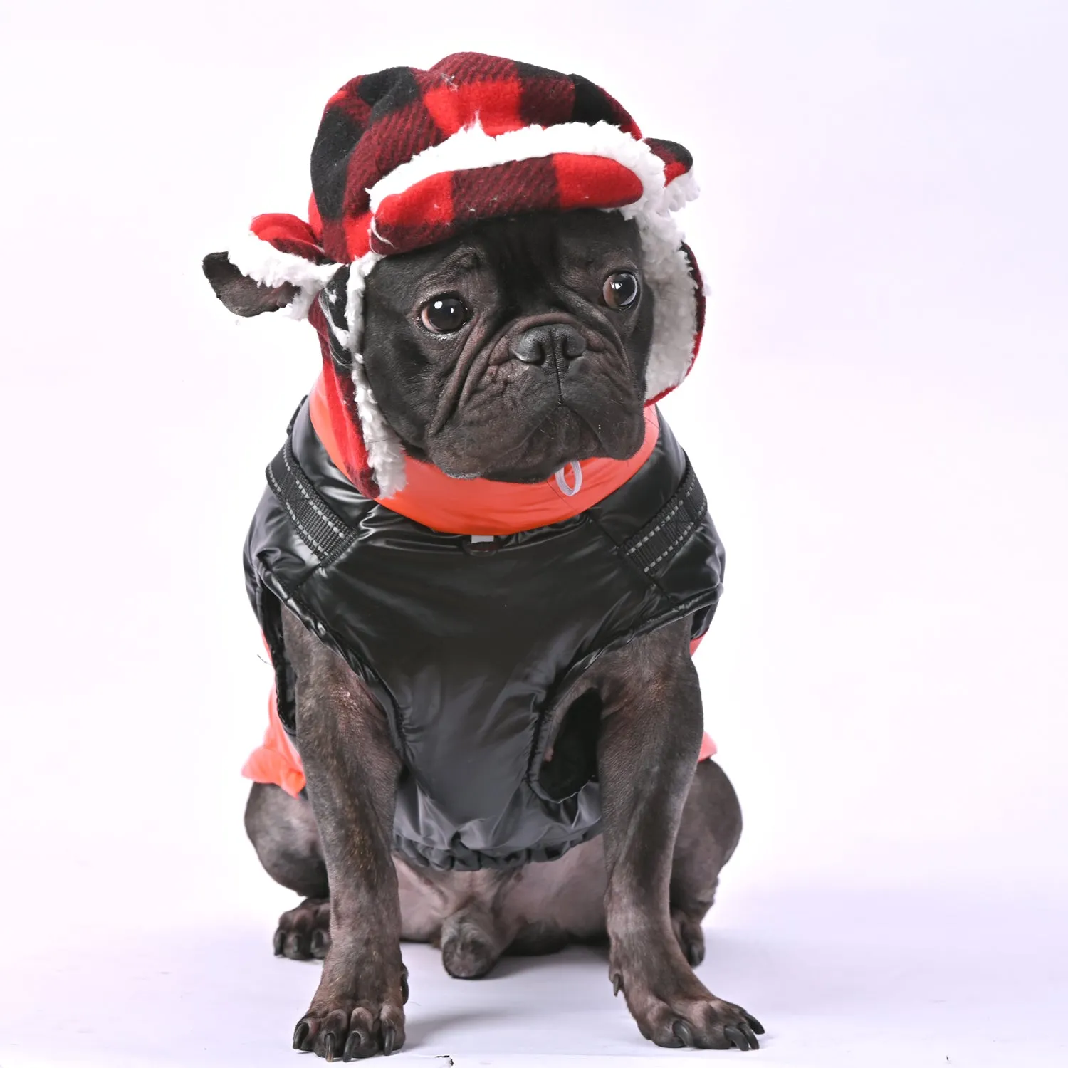 Snowy Snuggles Frenchie Warm Reflective Winter Jacket V1