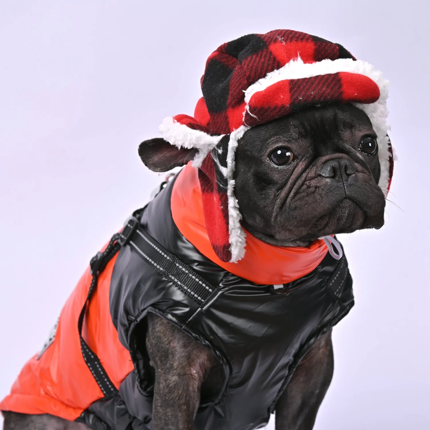 Snowy Snuggles Frenchie Warm Reflective Winter Jacket V1