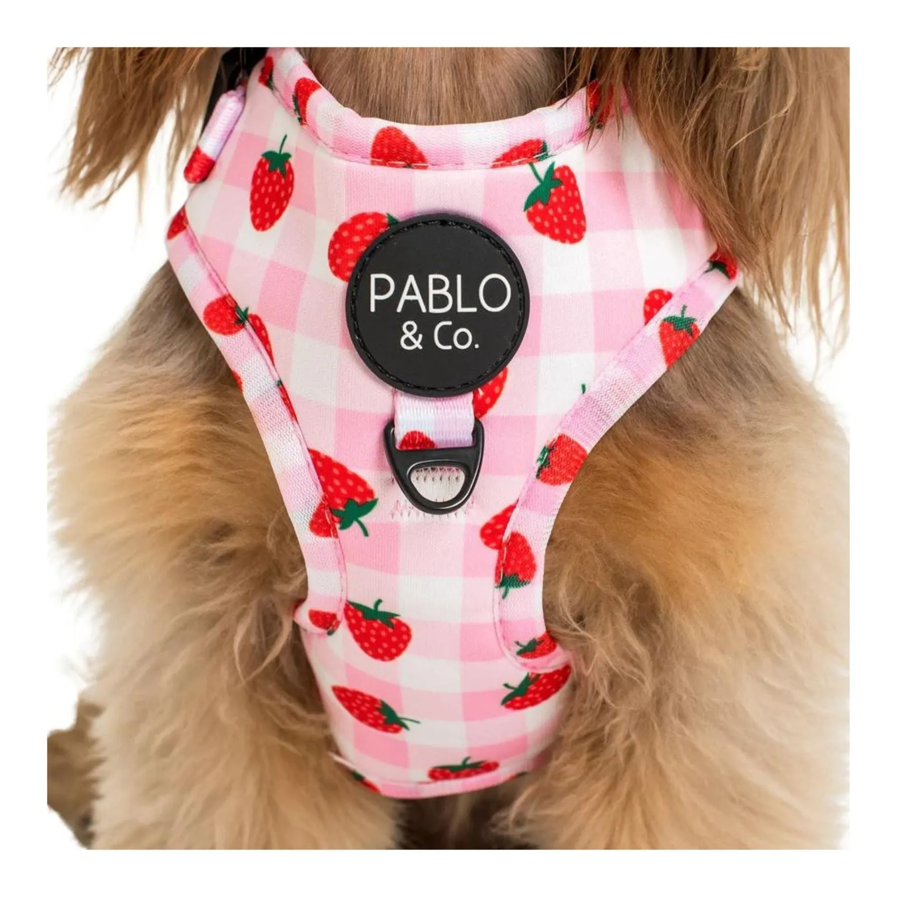 Strawberry Fields Adjustable Harness