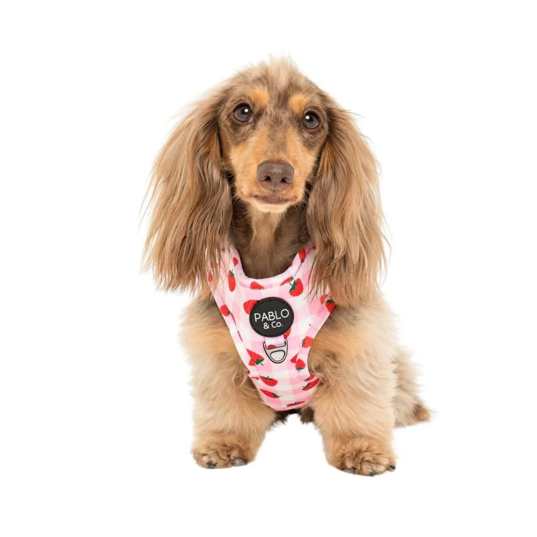 Strawberry Fields Adjustable Harness