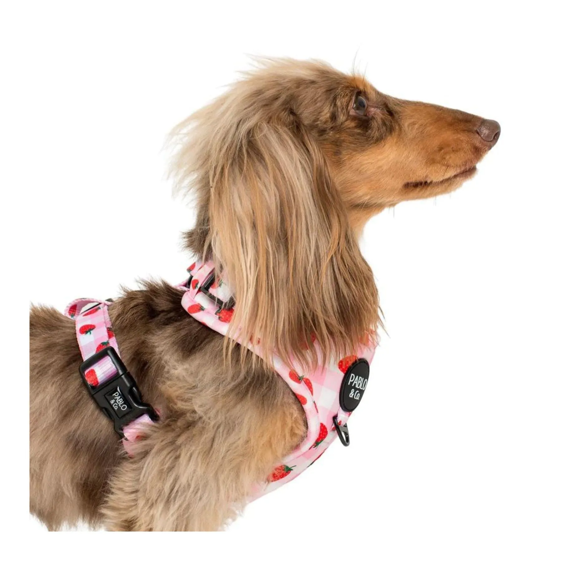 Strawberry Fields Adjustable Harness