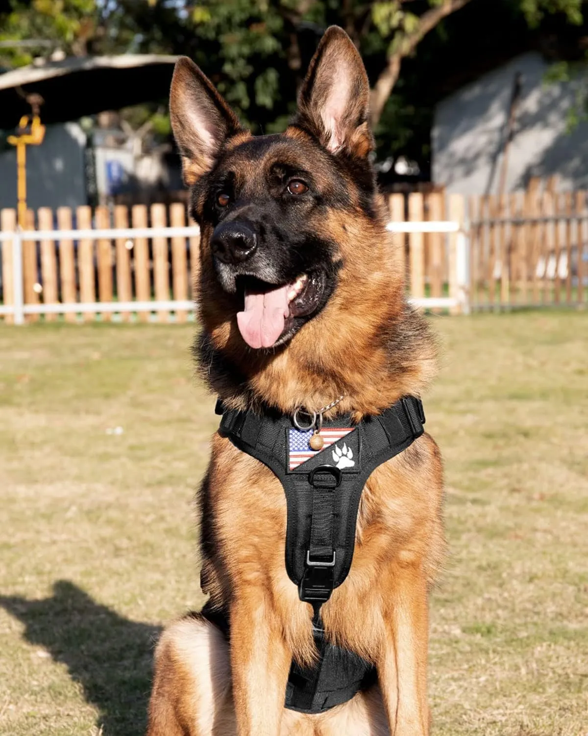 Tactical Dog Harness - PETNANNY Service Dog Vest for Large Dogs Fully Body Coverage in Training Dog Harness with 2 Reflective Dog Patches, Handle, Hook and Loop Panels, Dog MOLLE Vest (Black, L)