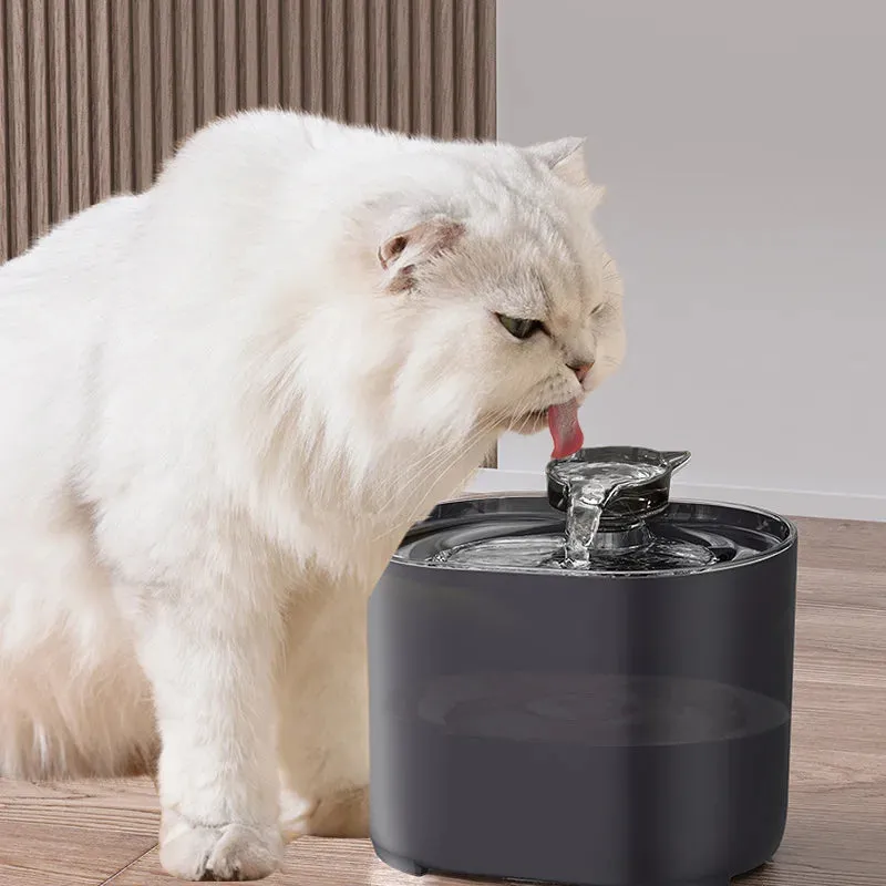 USB Electric Cat Water Fountain with Cat Ear Design and Quiet Pump