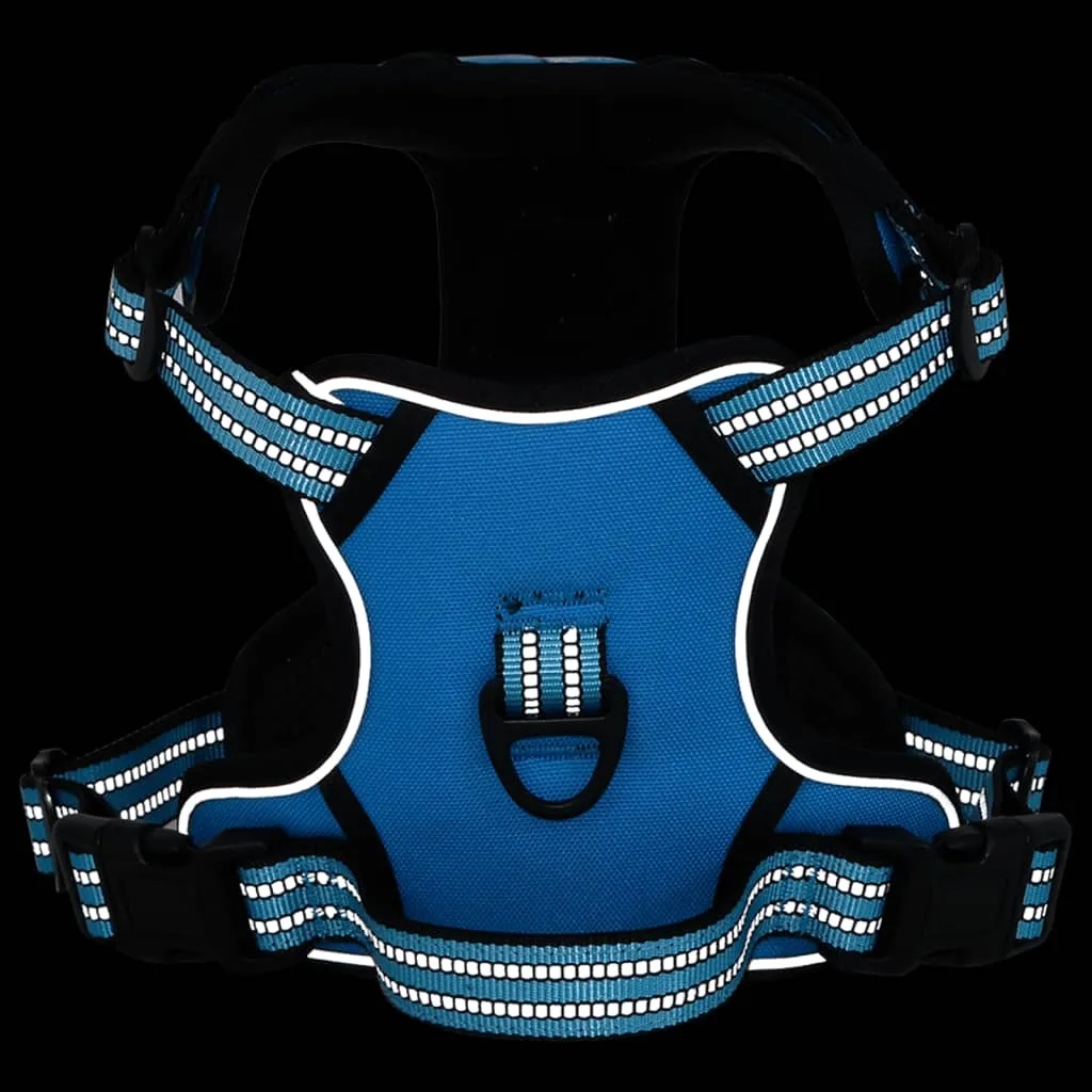 vidaXL Dog Harness with Lead & Collar Adjustable Blue S