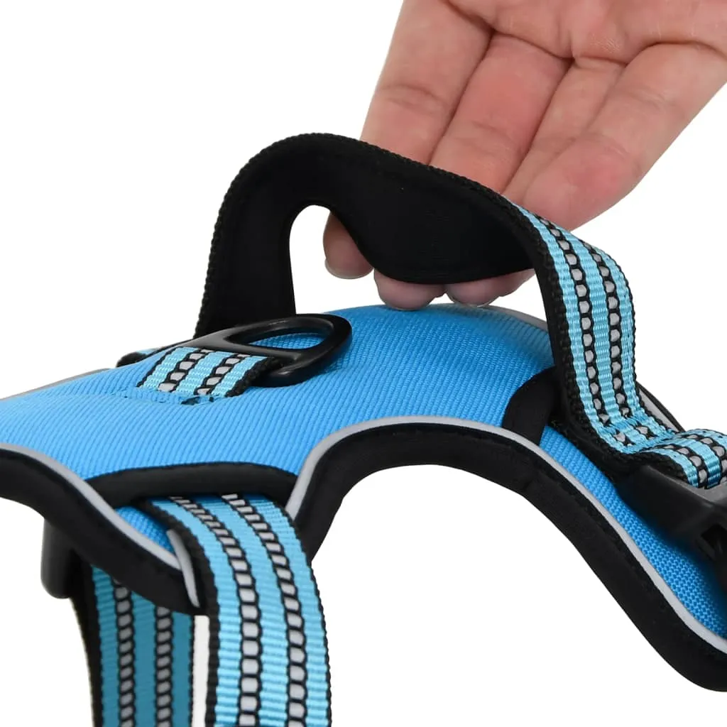 vidaXL Dog Harness with Lead & Collar Adjustable Blue S