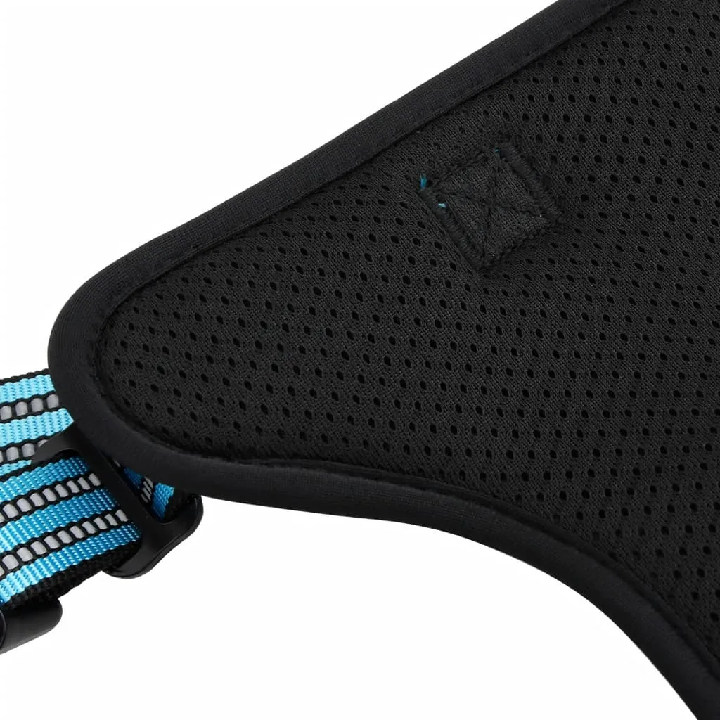 vidaXL Dog Harness with Lead & Collar Adjustable Blue S