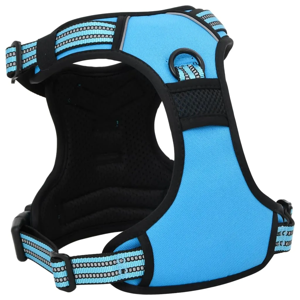 vidaXL Dog Harness with Lead & Collar Adjustable Blue S