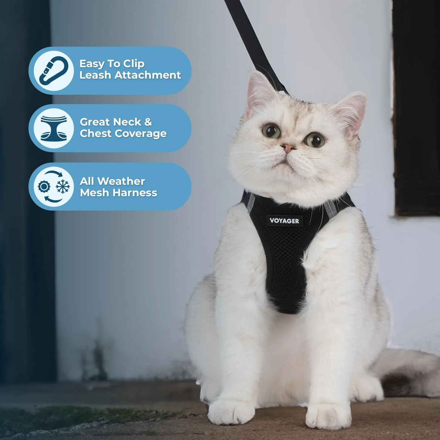 Voyager Step-in Air Cat Leash Harness Set - All Weather Mesh, Step in Vest Harness for Small and Large Cats by Best Pet Supplies - Black, XXS (Chest 12-13.5")
