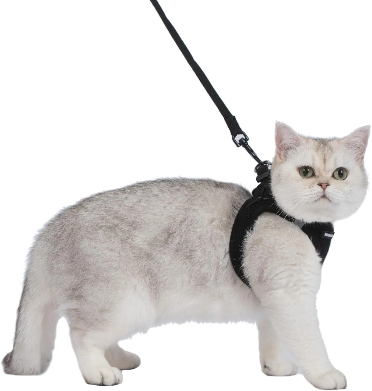 Voyager Step-in Air Cat Leash Harness Set - All Weather Mesh, Step in Vest Harness for Small and Large Cats by Best Pet Supplies - Black, XXS (Chest 12-13.5")
